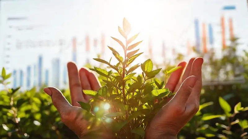 Planta de biomasa moderna: crecimiento prometedor