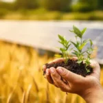 Agricultura sostenible genera energía limpia y esperanza