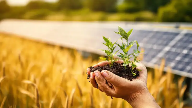 Agricultura sostenible genera energía limpia y esperanza