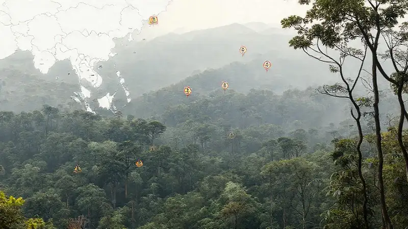 Bosque asiático