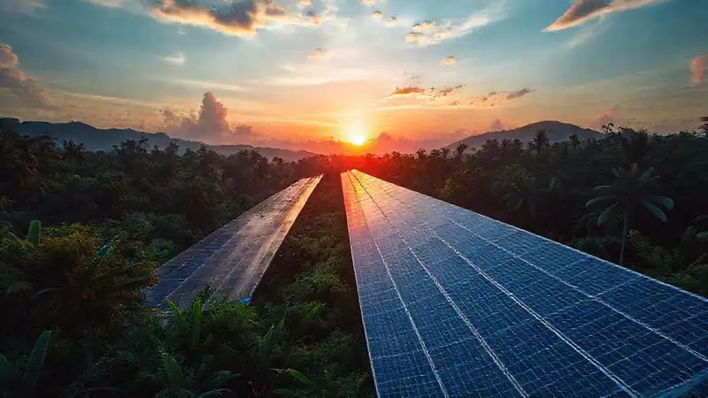 Paneles solares iluminan un amanecer exuberante