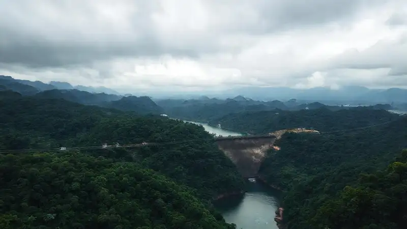 Selva exuberante con paisajes industriales
