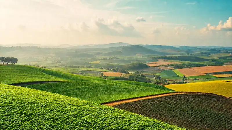 Agricultura sostenible ofrece un futuro brillante