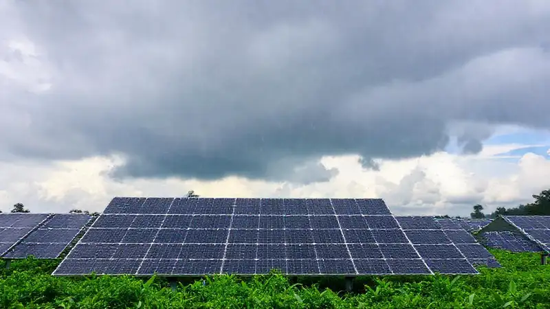 Paneles solares en paisaje húmedo y nublado