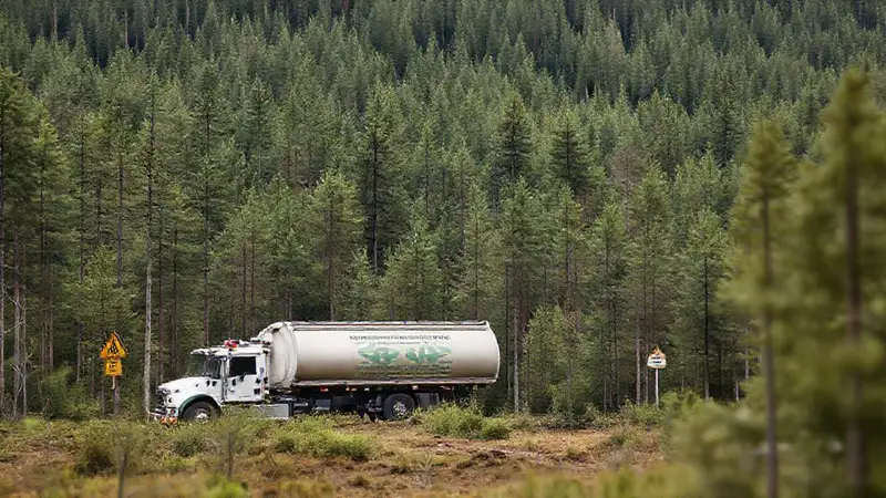 Evaluación forestal sostenible con datos científicos