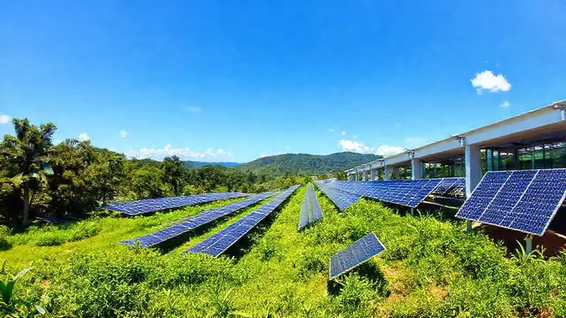 Paneles solares iluminan un paisaje verde