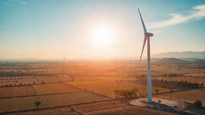 Turbinas eólicas impulsan energía sostenible en el campo
