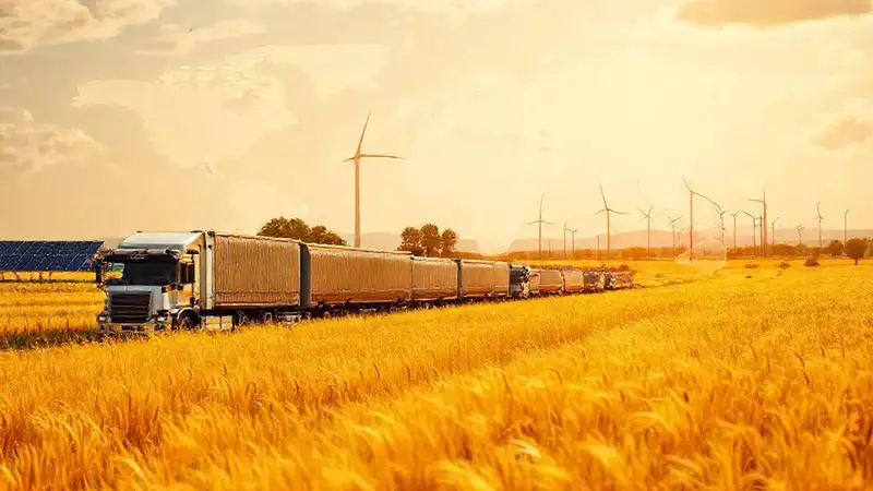 Campo de trigo dorado, energía sostenible y logística