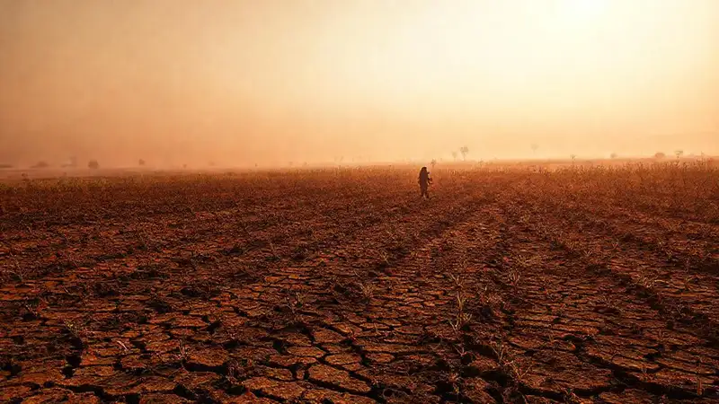 La sequía destruye campos y agricultores