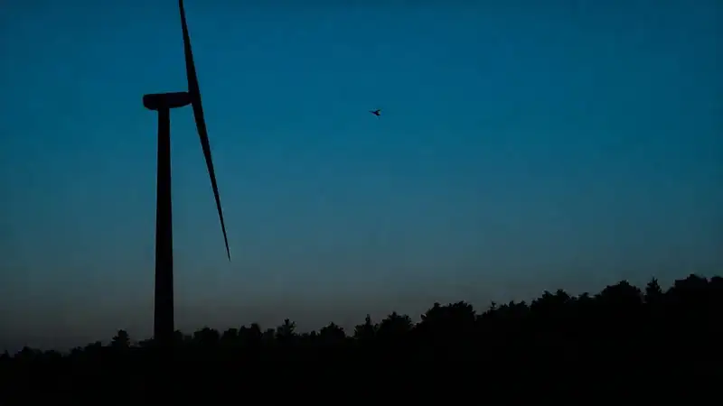 Turbina eólica siluetea un vuelo pacífico