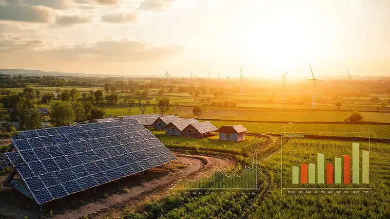 Energía rural, fotosíntesis y datos