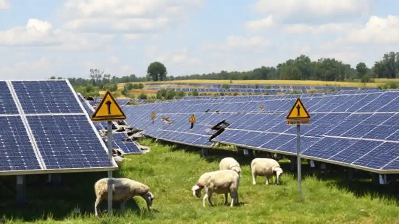 Paneles solares dañados en la granja