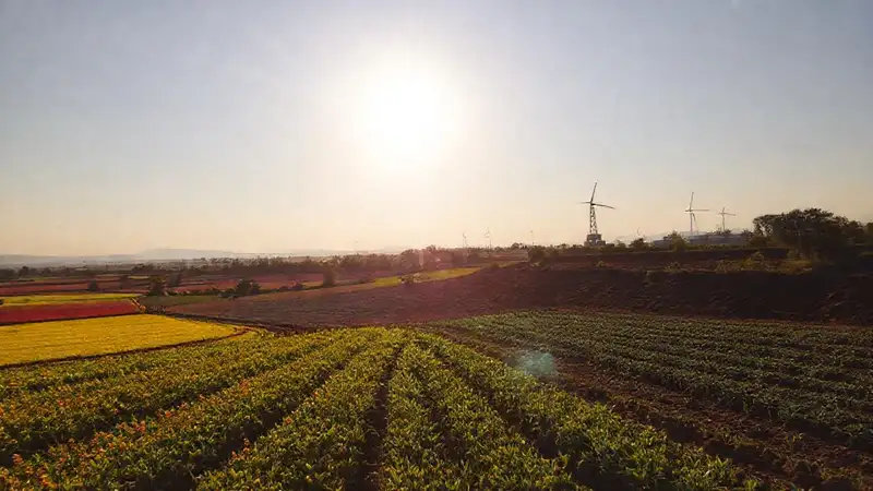 Un futuro próspero se forja con energía limpia