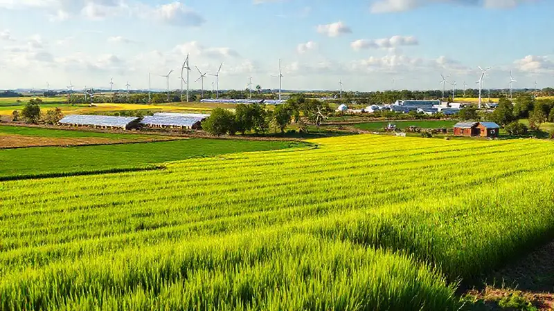 Energías renovables norteamericanas muestran éxito profesional