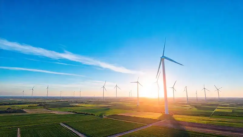 Turbinas eólicas generan energía limpia y brillante